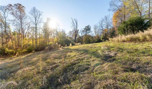 Photo #11 of 120 Brookberry, Jamestown, NC 7.9 acres