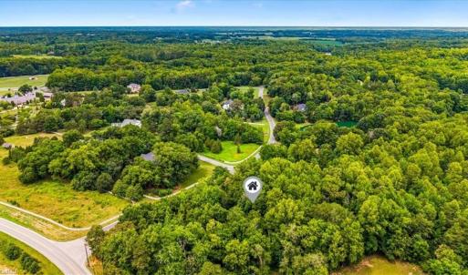 Explore the Walking/Nature Trails~