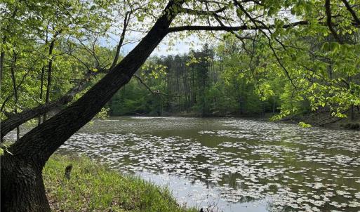 Photo #1 of Sheets, Germanton, NC 26.8 acres