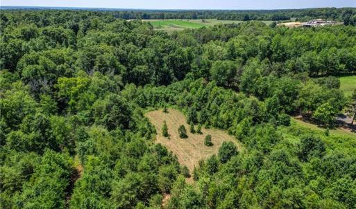 Photo #7 of Nc Highway 135, Stoneville, NC 21.6 acres
