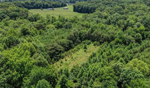 Photo #8 of Nc Highway 135, Stoneville, NC 21.6 acres