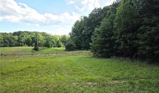 Photo #6 of 6091 Eaton, Walnut Cove, NC 30.9 acres
