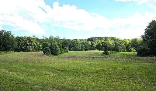 Photo #5 of 6091 Eaton, Walnut Cove, NC 30.9 acres