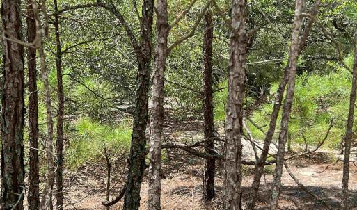 Photo #4 of 2312 Swan Island Road, Corolla, NC 0.3 acres