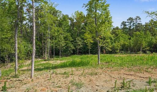 Photo #8 of 01 Pineville, Mocksville, NC 10.1 acres