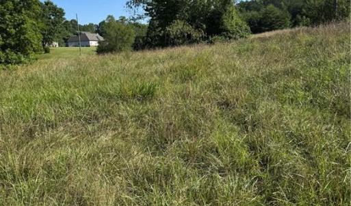 Photo #13 of 7.75 Goff, King, NC 7.8 acres