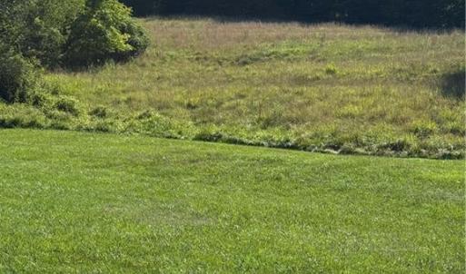 Photo #5 of 7.75 Goff, King, NC 7.8 acres