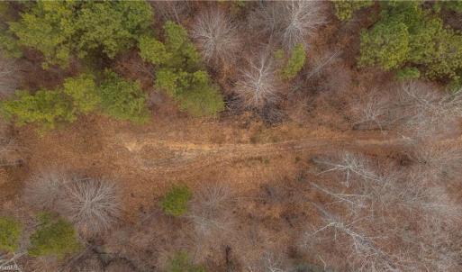 Photo #12 of Wellhouse, Walnut Cove, NC 11.4 acres