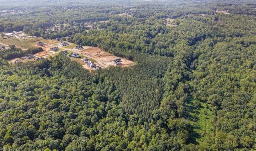 Photo #10 of 7683 Manderley, Oak Ridge, NC 10.1 acres