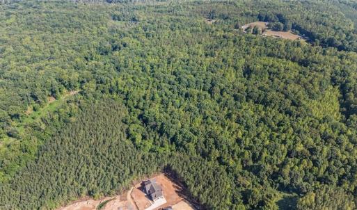 Photo #4 of 7683 Manderley, Oak Ridge, NC 10.1 acres