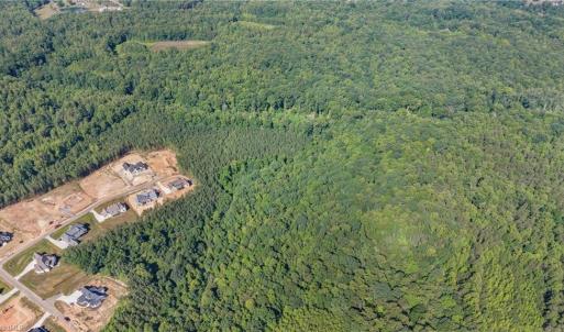 Photo #8 of 7683 Manderley, Oak Ridge, NC 10.1 acres