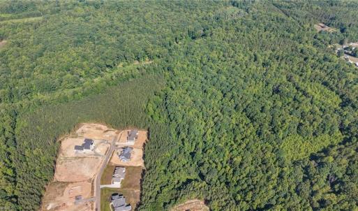 Photo #7 of 7683 Manderley, Oak Ridge, NC 10.1 acres