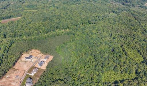 Photo #8 of 7683 Manderley, Oak Ridge, NC 10.1 acres