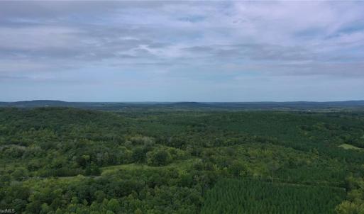 Photo #1 of Johnson, Denton, NC 37.3 acres