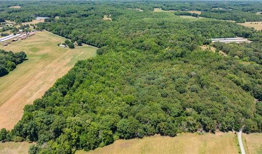 Photo #6 of Fork Creek Mill, Seagrove, NC 28.3 acres