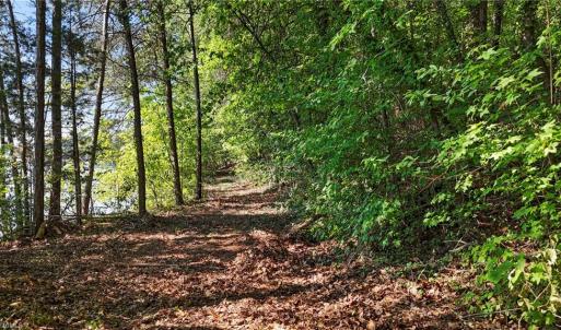 Photo #5 of Pinehaven, New London, NC 0.7 acres