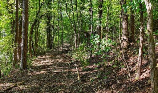 Photo #6 of Pinehaven, New London, NC 0.7 acres