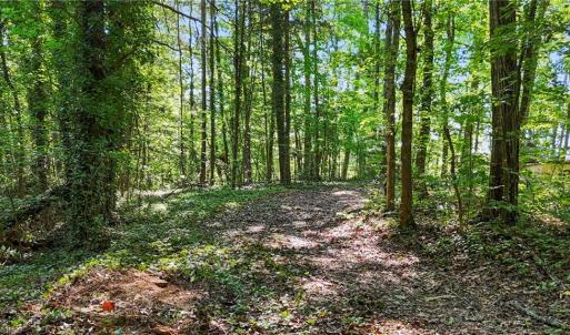 Photo #7 of Pinehaven, New London, NC 0.7 acres