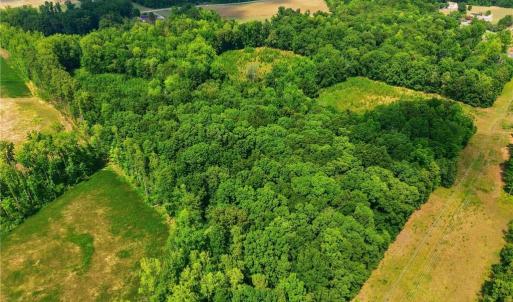 Photo #15 of 353 Huffine Mill, McLeansville, NC 42.7 acres