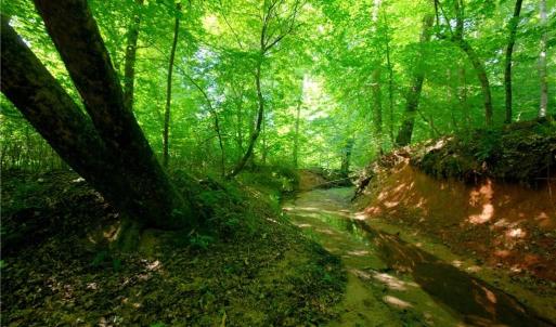 Photo #27 of Todd, Advance, NC 22.5 acres