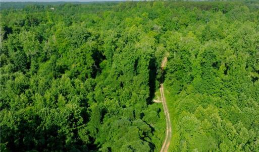Photo #17 of Todd, Advance, NC 22.5 acres