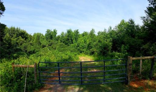 Photo #16 of Todd, Advance, NC 22.5 acres