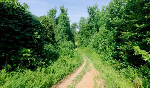 Photo #12 of Todd, Advance, NC 22.5 acres