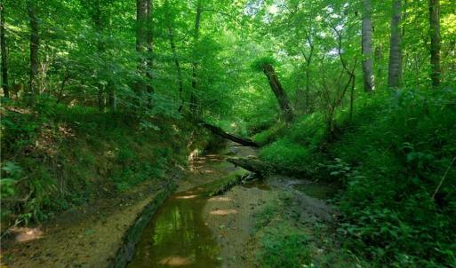 Photo #26 of Todd, Advance, NC 22.5 acres