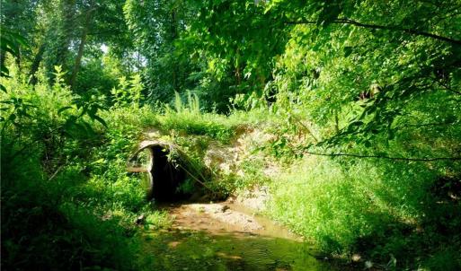 Photo #22 of Todd, Advance, NC 22.5 acres