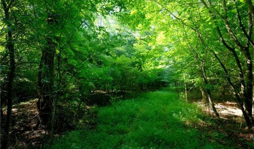 Photo #32 of Todd, Advance, NC 22.5 acres
