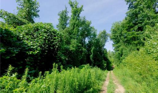 Photo #20 of Todd, Advance, NC 22.5 acres