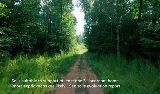 Photo #9 of Todd, Advance, NC 22.5 acres