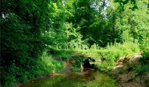 Photo #34 of Todd, Advance, NC 22.5 acres