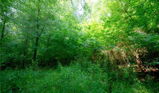 Photo #33 of Todd, Advance, NC 22.5 acres