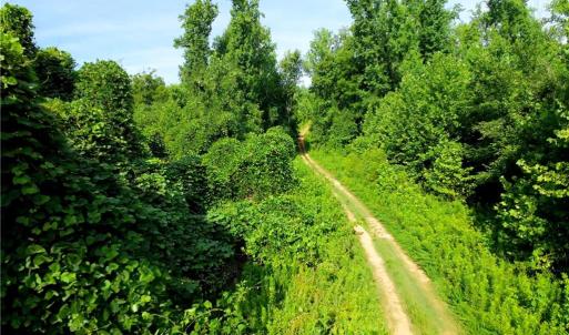 Photo #14 of Todd, Advance, NC 22.5 acres