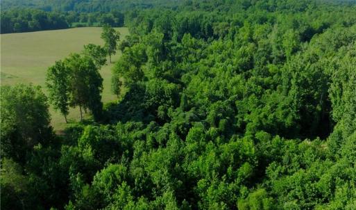 Photo #18 of Todd, Advance, NC 22.5 acres