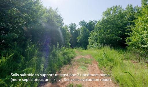 Photo #11 of Todd, Advance, NC 22.5 acres