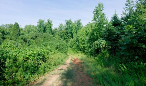 Photo #19 of Todd, Advance, NC 22.5 acres
