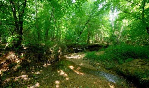 Photo #35 of Todd, Advance, NC 22.5 acres