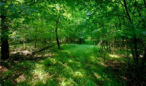 Photo #39 of Todd, Advance, NC 22.5 acres