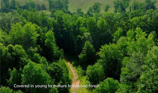Photo #8 of Todd, Advance, NC 22.5 acres
