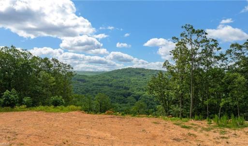 Photo #2 of Fawn, Asheboro, NC 43.2 acres