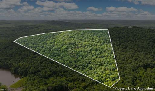 Photo #9 of Fawn, Asheboro, NC 43.2 acres