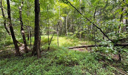 Photo #2 of Lot 2 Cypress, Reidsville, NC 0.7 acres