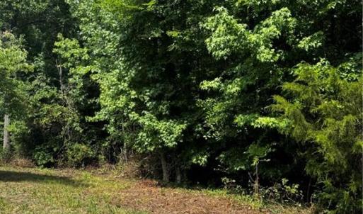 Photo #6 of Lot 3 South Park, Reidsville, NC 0.7 acres