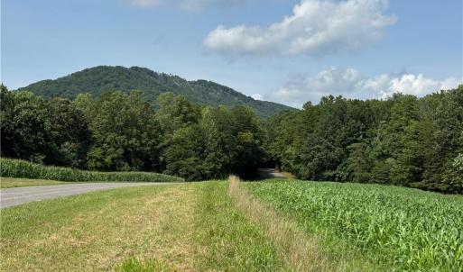 Photo #17 of EDWARDS FARM, King, NC 33.7 acres