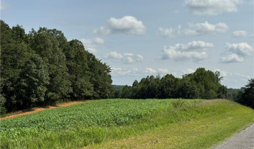 Photo #18 of EDWARDS FARM, King, NC 33.7 acres