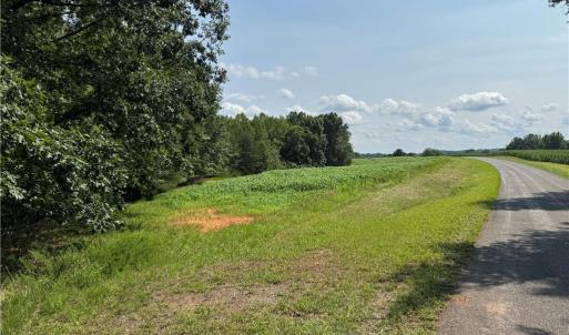Photo #21 of EDWARDS FARM, King, NC 33.7 acres