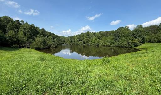 Photo #6 of Edwards Farm, King, NC 22.0 acres