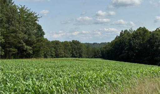 Photo #16 of Edwards Farm, King, NC 22.0 acres